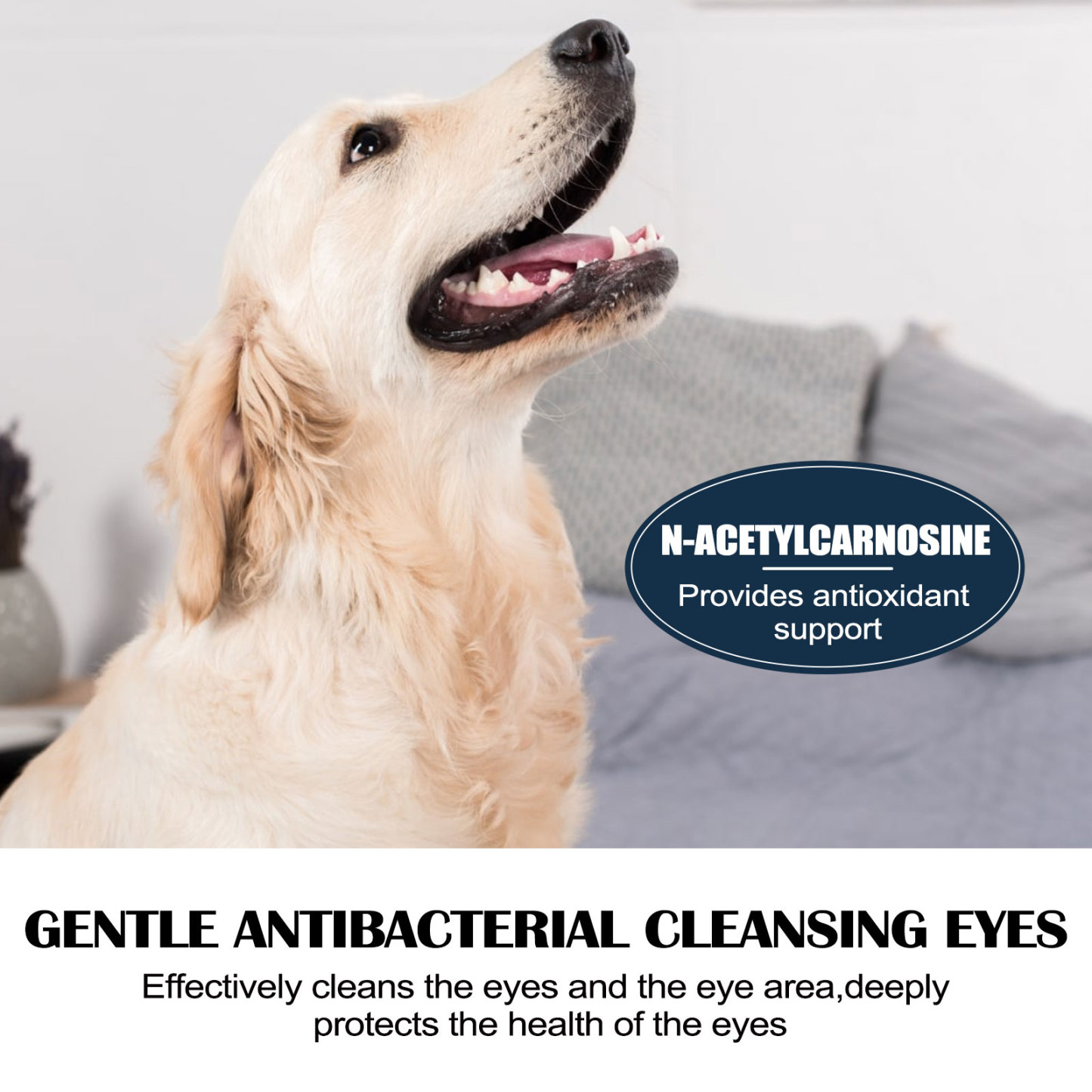 PETS EYE DROPS