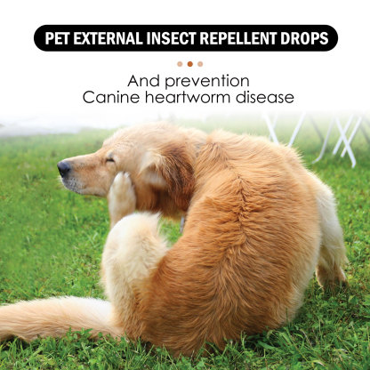 PET EXTERNAL INSECT REPELLENT DROPS