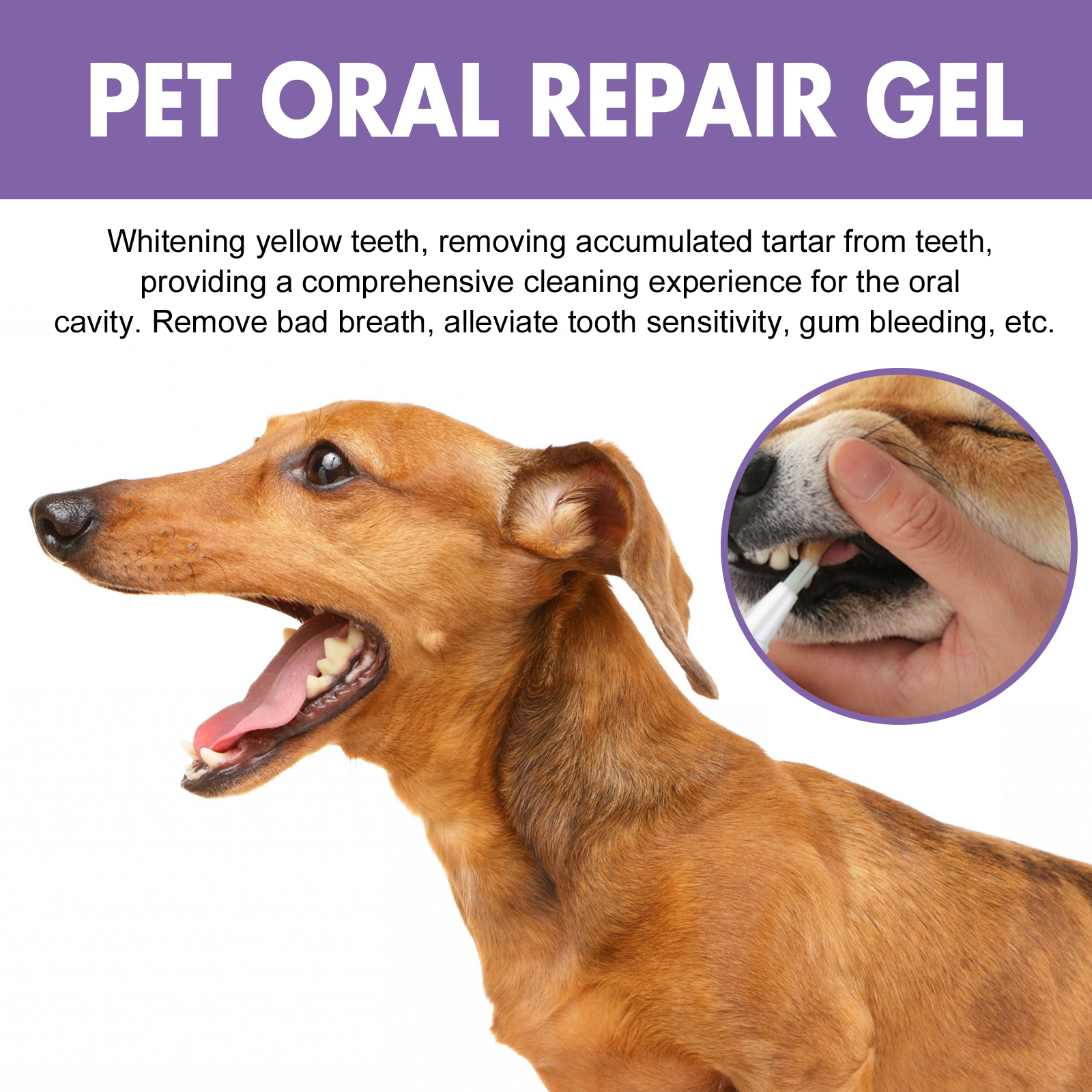 PET ORAL REPAIR GEL