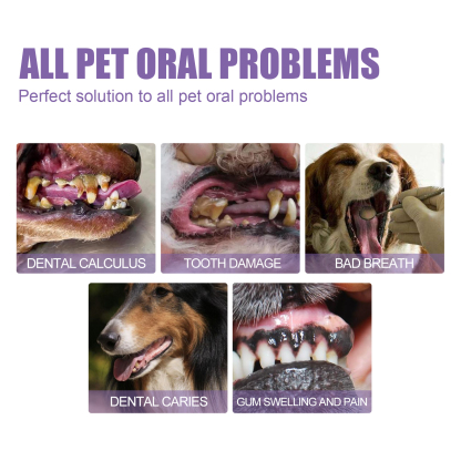 PET ORAL REPAIR GEL