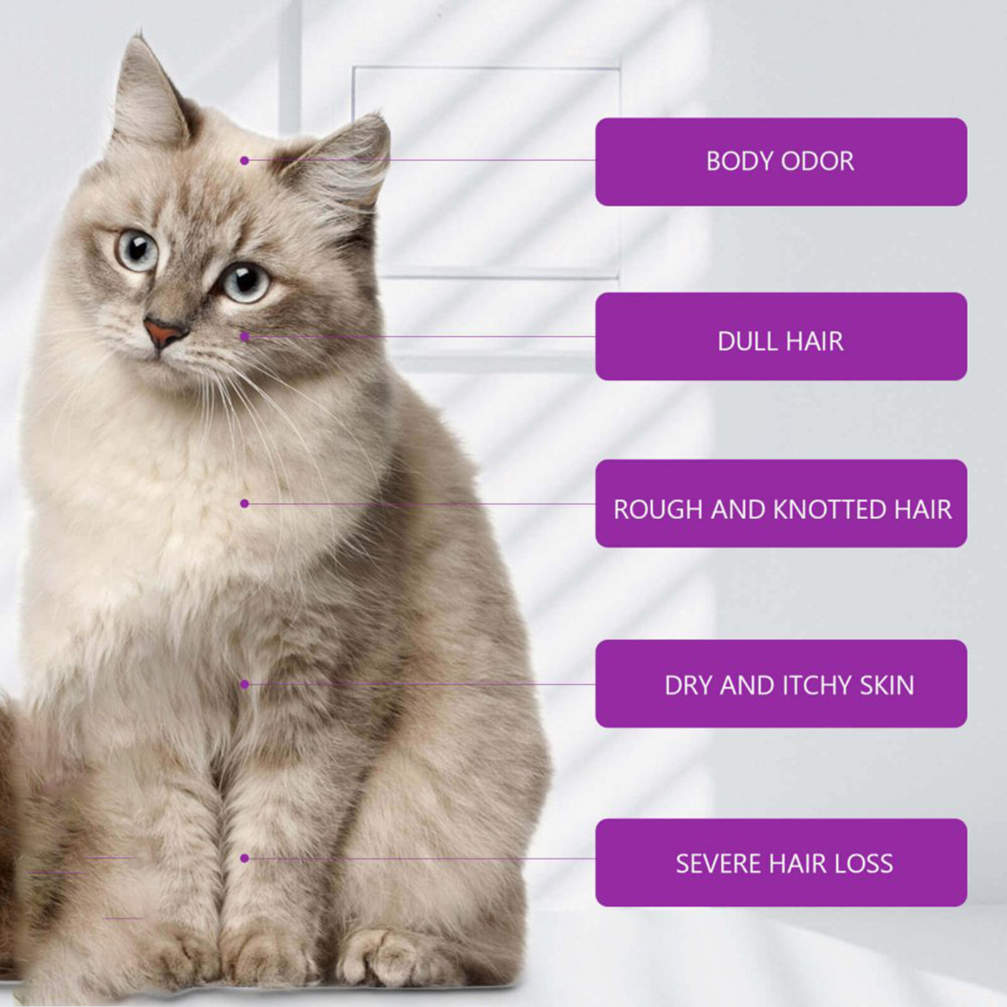 PET SHAMPOO& CONDITIONER
