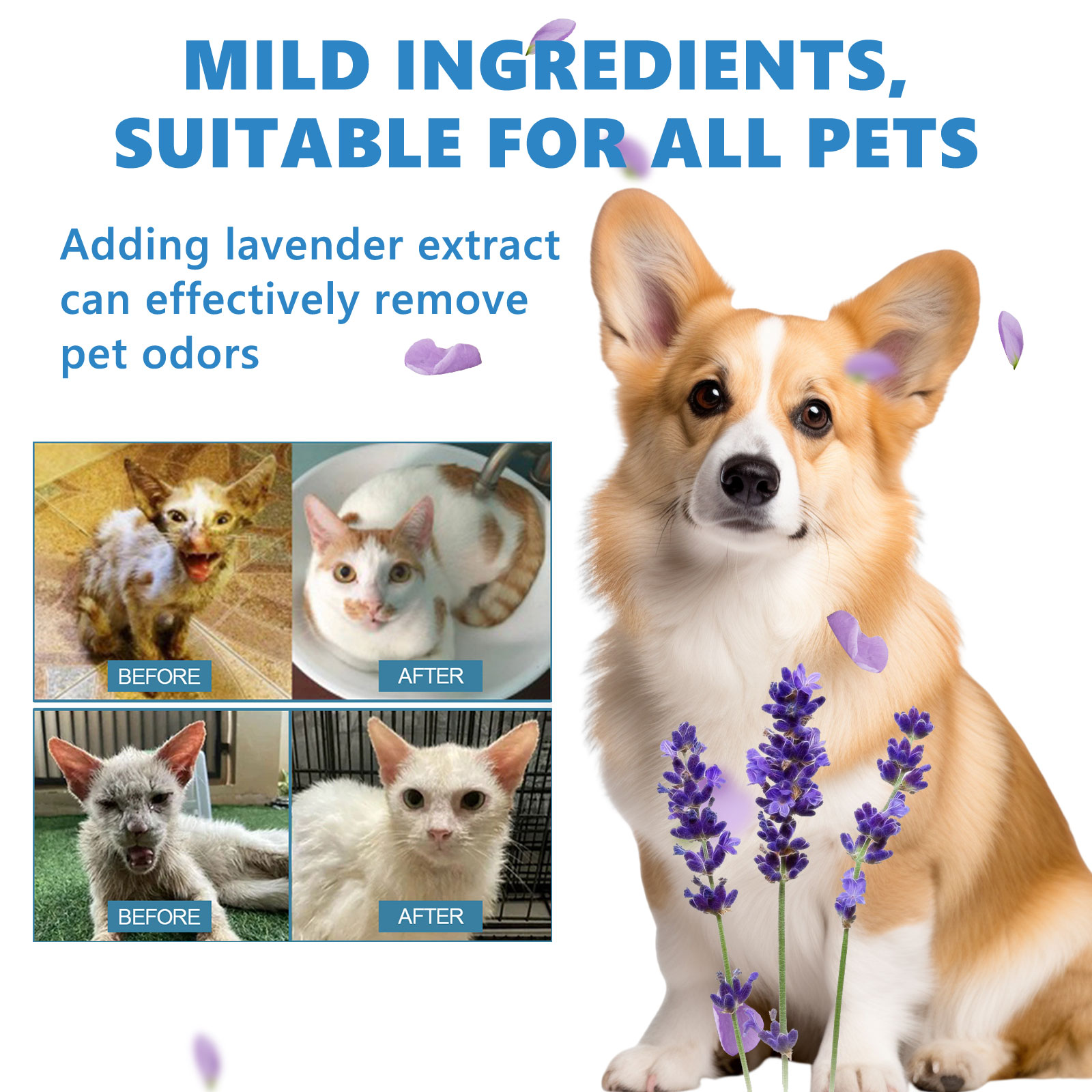 WASH FREE ESSENCE FOR PETS