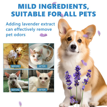 WASH FREE ESSENCE FOR PETS