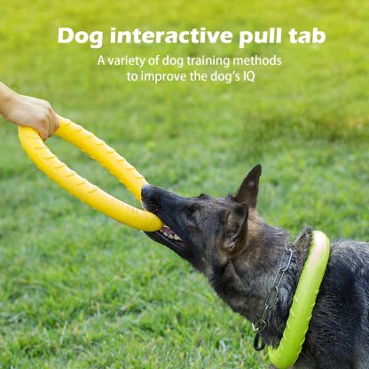 Dog Flying Disc Dog Training Toys/Dog Chew Toy