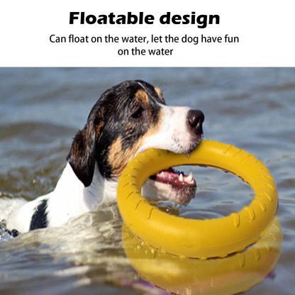 Dog Flying Disc Dog Training Toys/Dog Chew Toy
