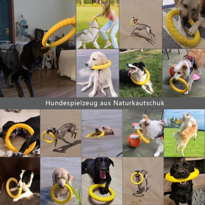 Dog Flying Disc Dog Training Toys/Dog Chew Toy