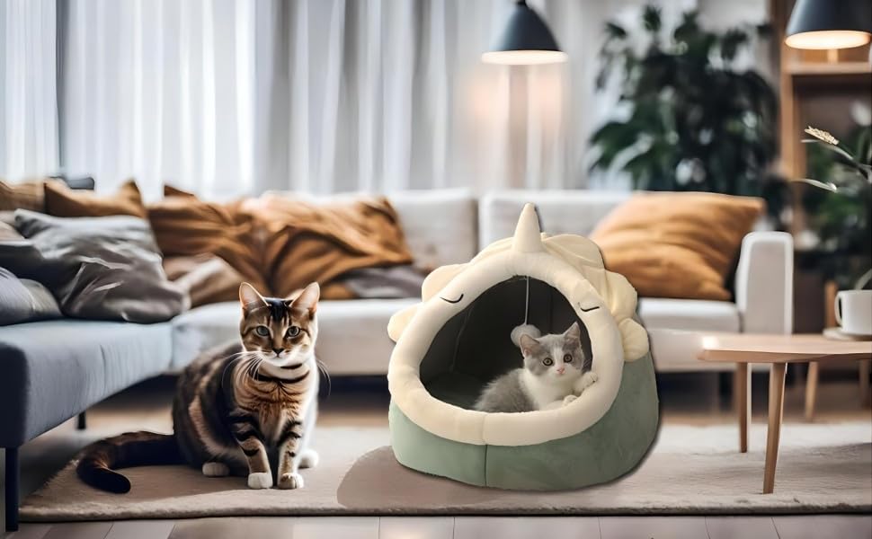 cat bed