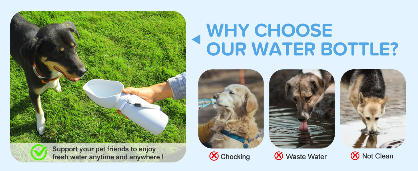 Leak-Proof Portable Dog Water Bottle