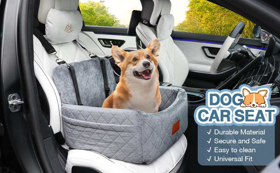 car seat for small dogs