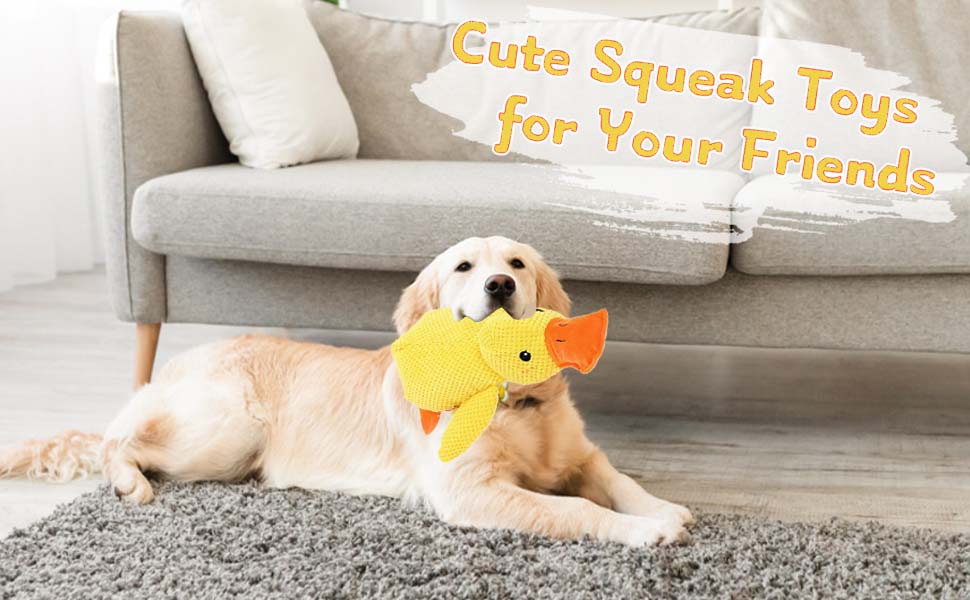 mellow dog calming duck