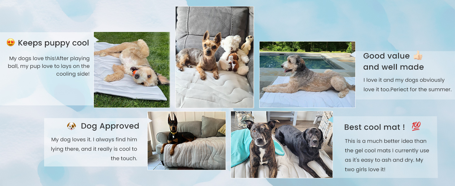 Customer says zonli dog cooling mats keep puppy cool, good value and well made,dog approved,best