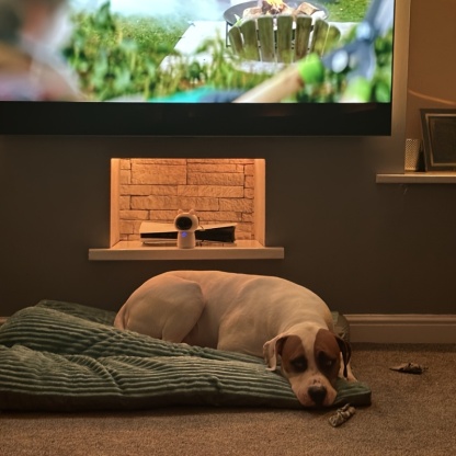 Large Dog Bed  Non-Slip Pet Kennel Detachable Dogs Sofa 