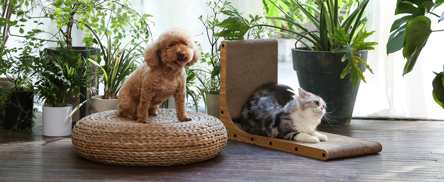 cat scratcher cat scratching board cat scratch cat scratcher cardboard