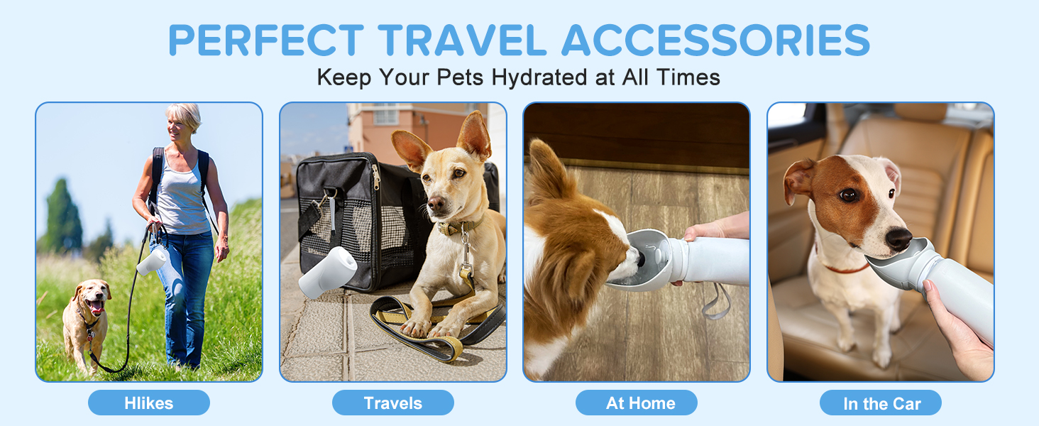 Dog Water Bottle 