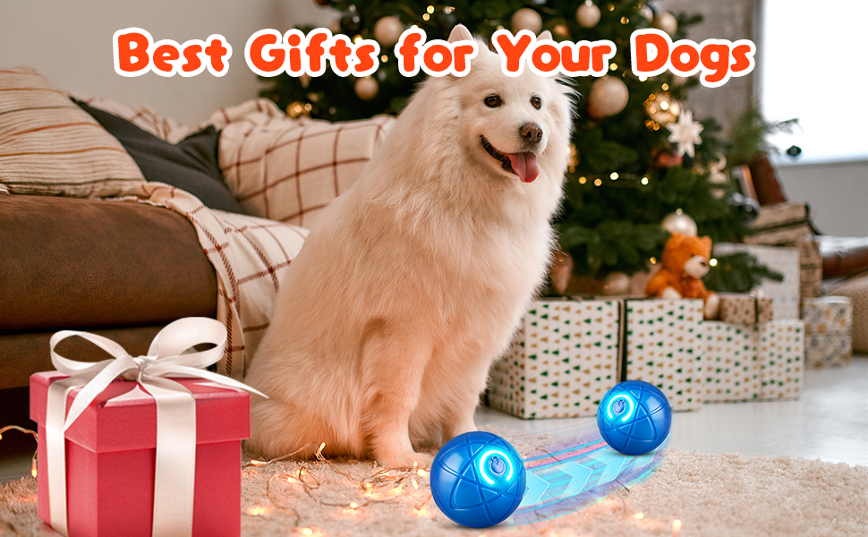 Shaky Ball Toy for Dogs