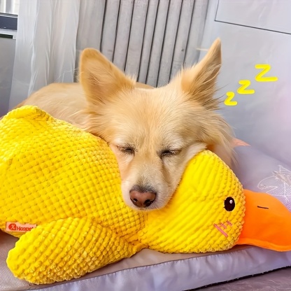  Durable Plush Squeaky Dog Toy 