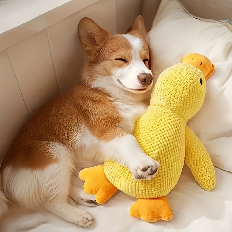  Durable Plush Squeaky Dog Toy 