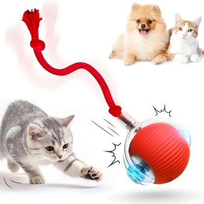 Smart Electric Cat Ball Toy with Rope
