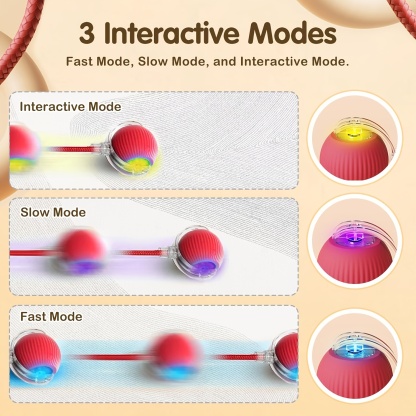 Smart Electric Cat Ball Toy with Rope