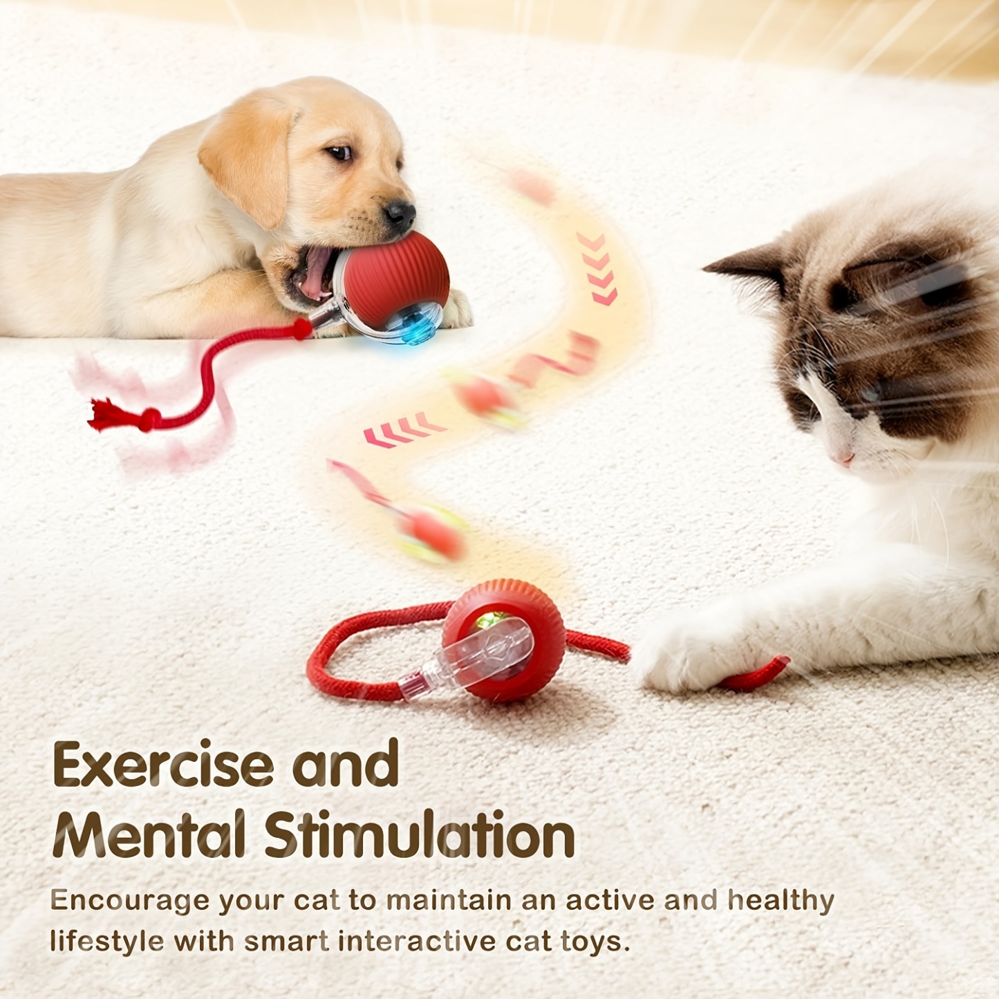 Smart Electric Cat Ball Toy with Rope