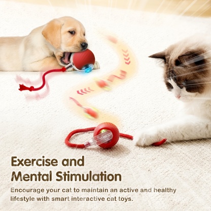 Smart Electric Cat Ball Toy with Rope