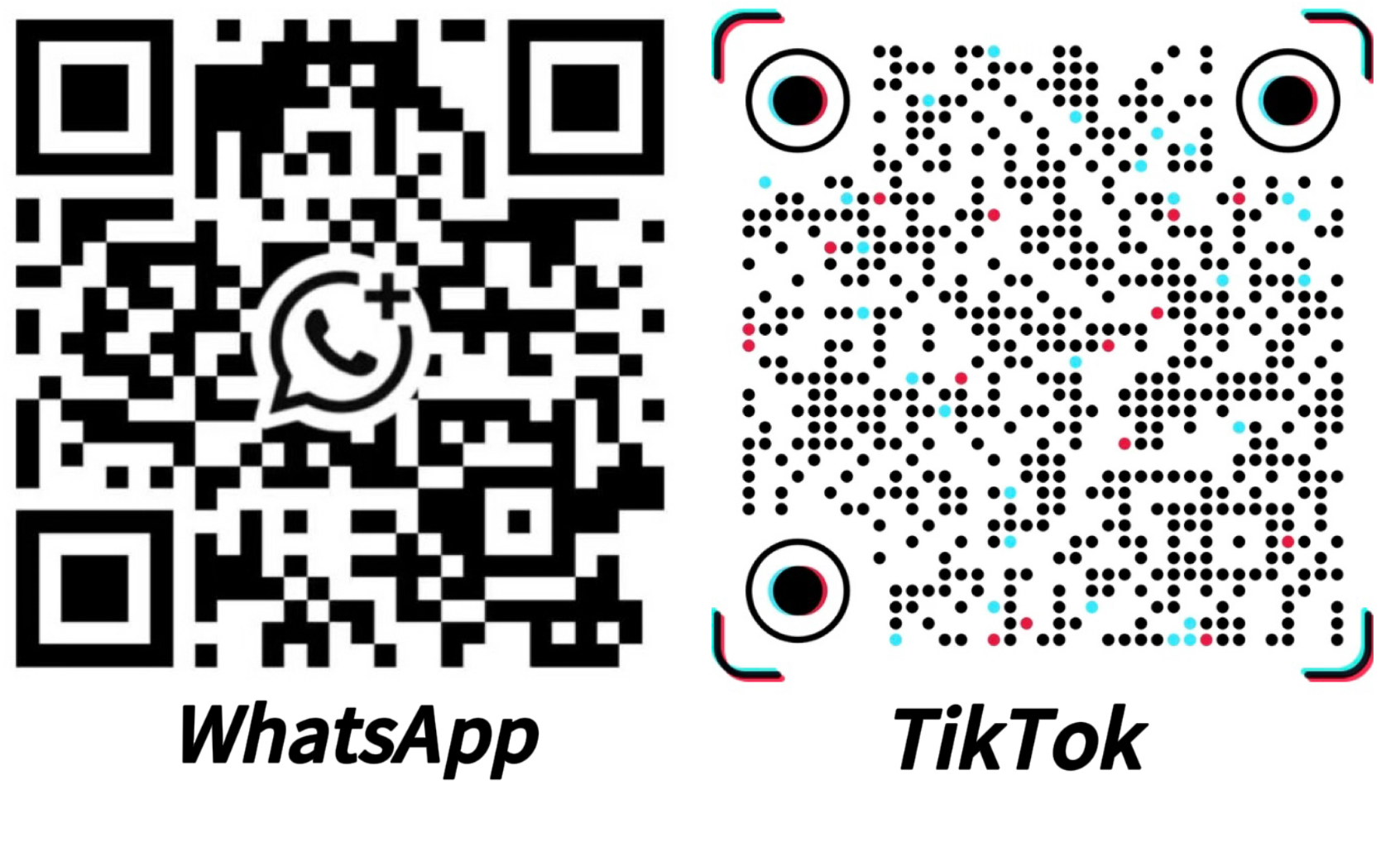 {"default":"Contact details"}
