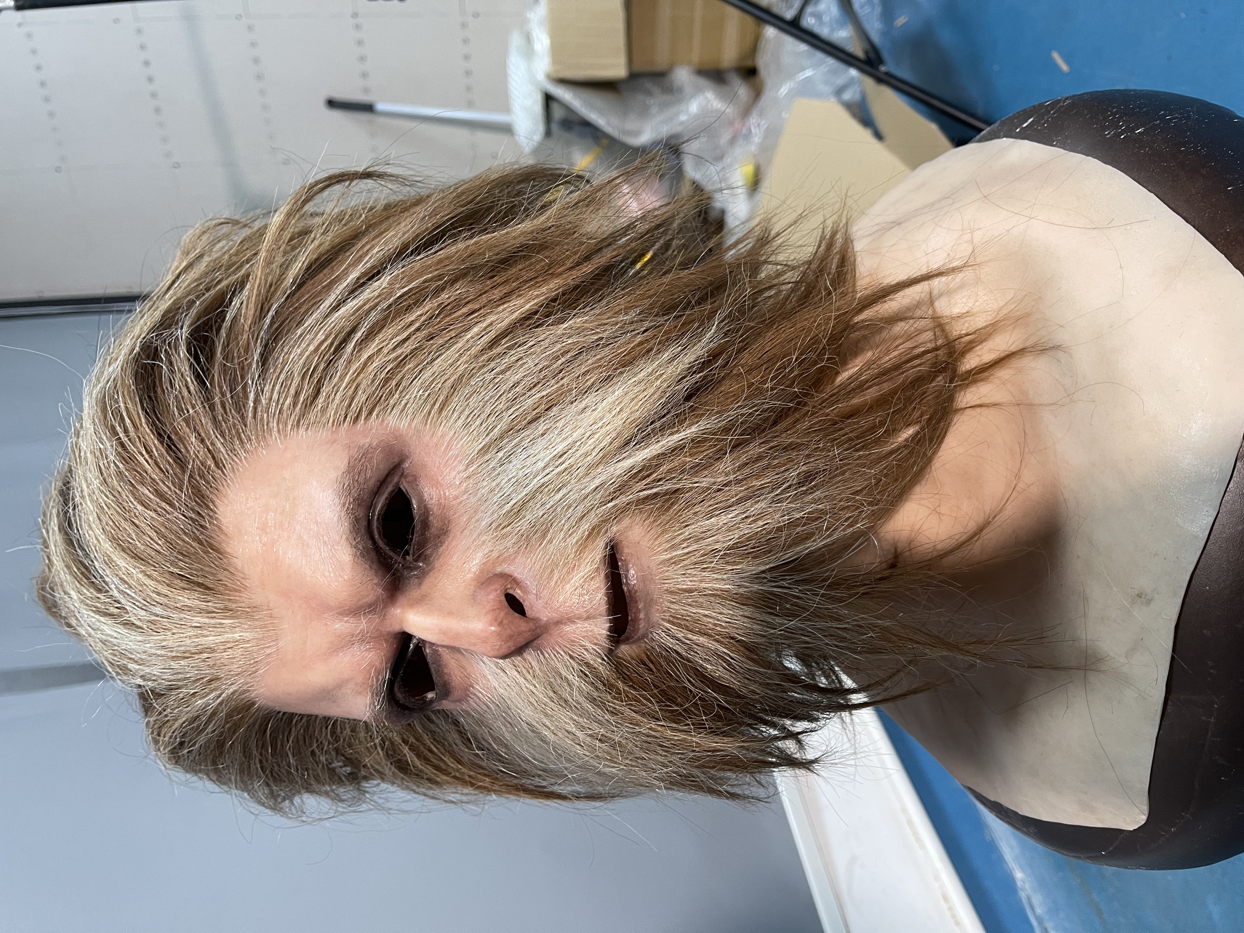 Monkey King Sun Wukong