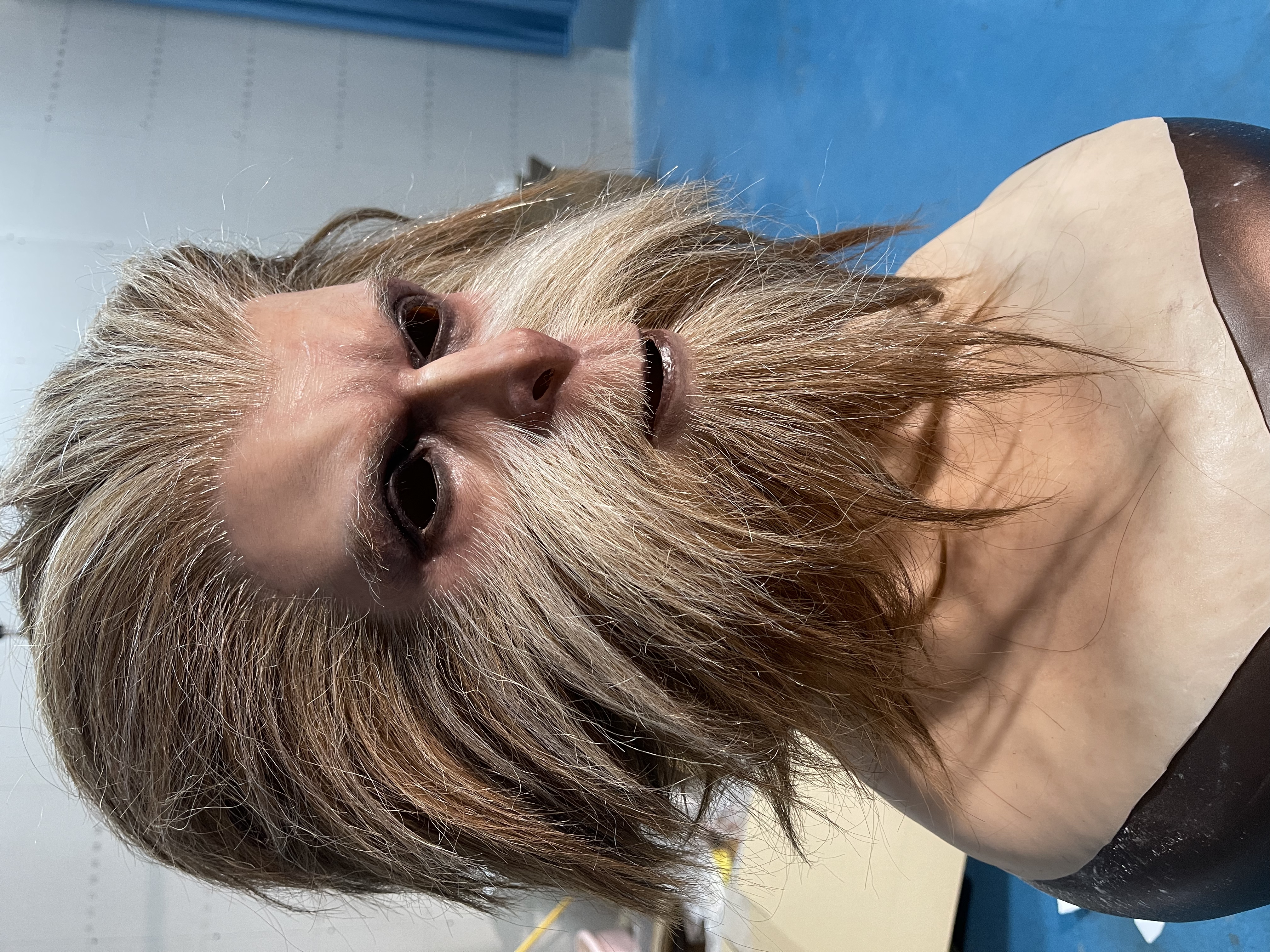 Monkey King Sun Wukong