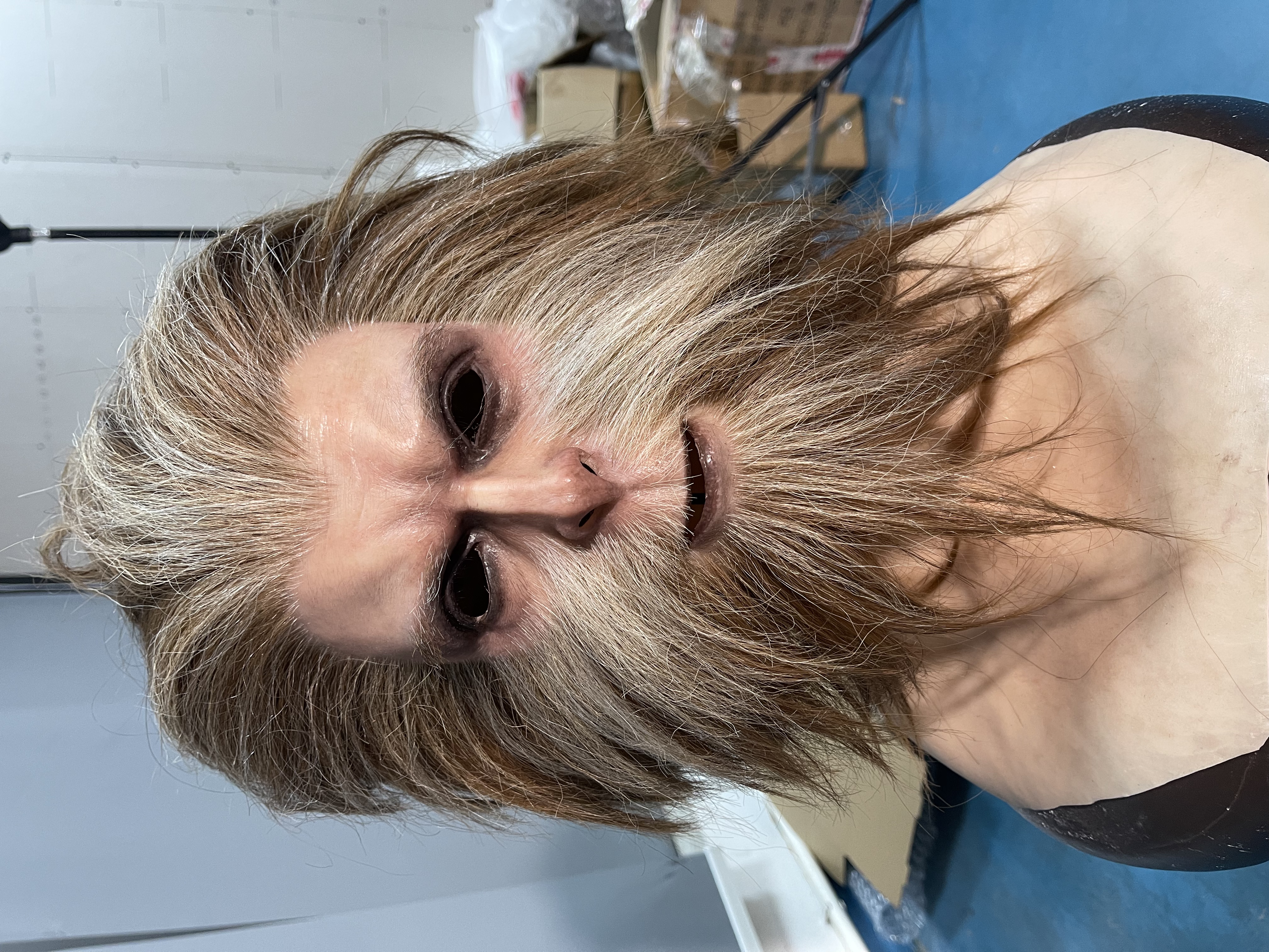 Monkey King Sun Wukong