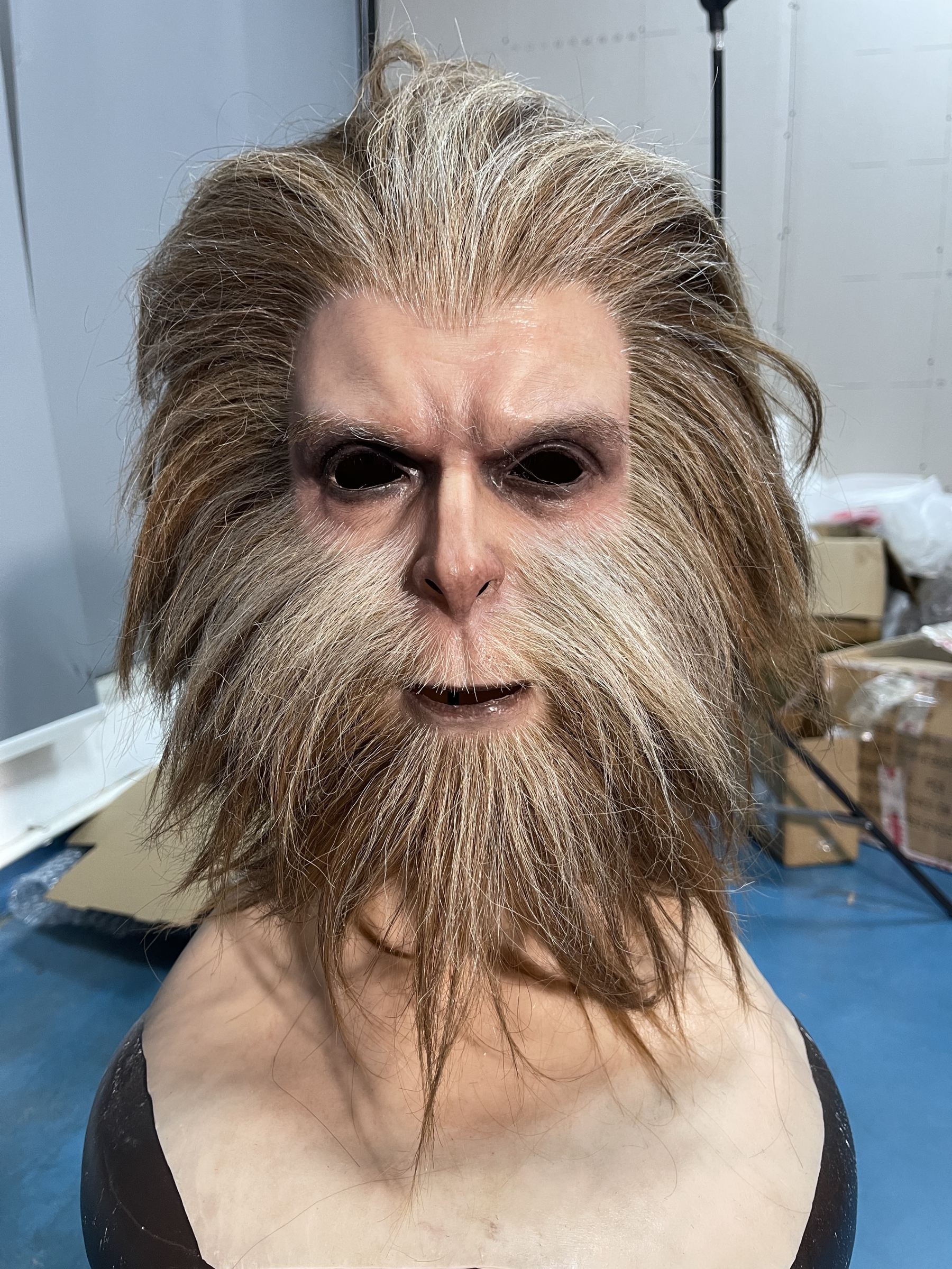 Monkey King Sun Wukong