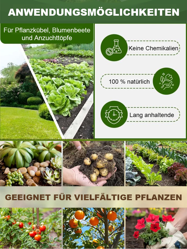 Deutschlands erste Formel zur Pflanzenzell-Regeneration! 🌿In 2 Wochen verdoppelt sich die sichtbare Blattmenge – für einen lückenlosen Dschungel-Effekt! Aufgrund der enormen Nachfrage: Abgabe nur 3 Stück pro Person!🔥