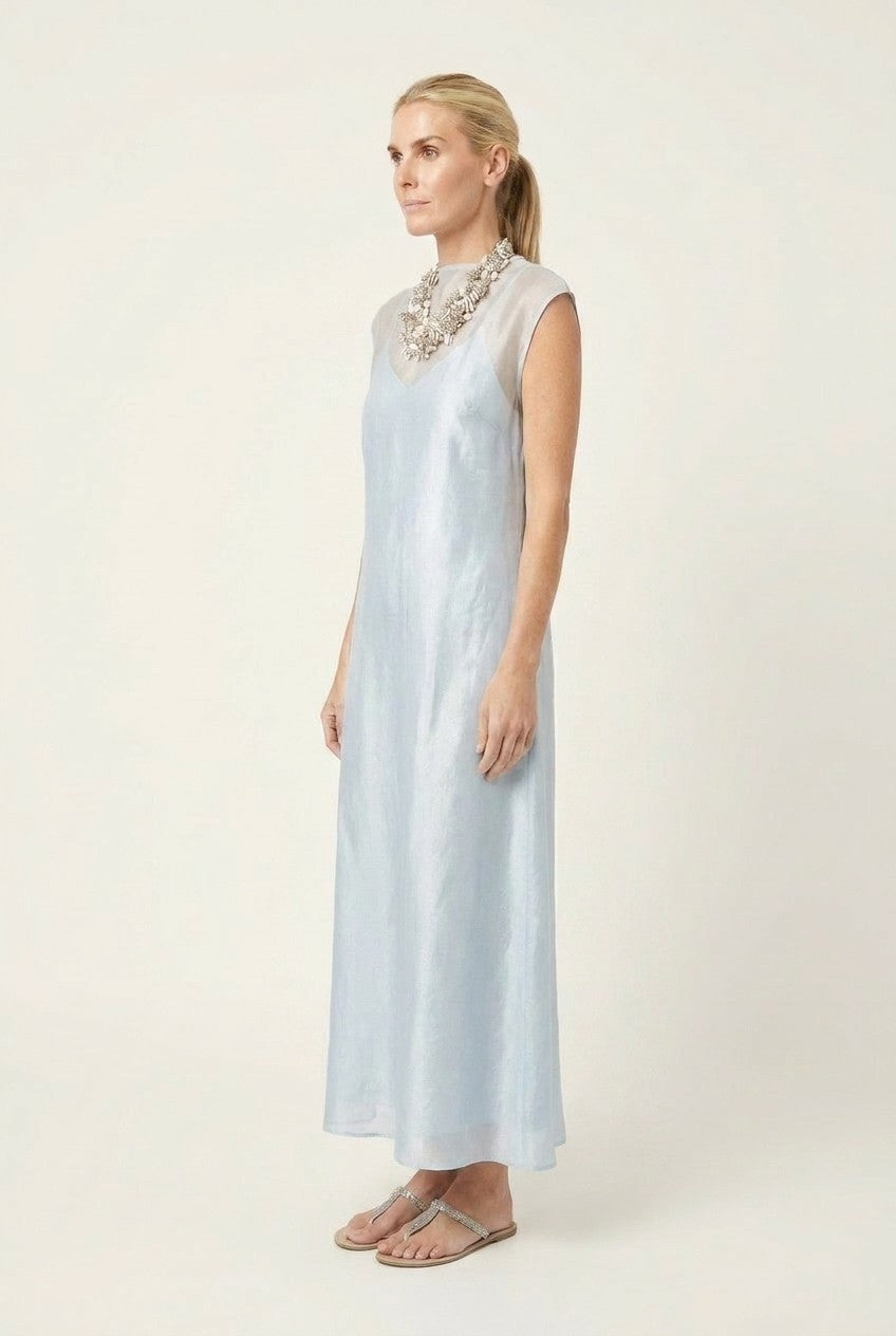 Shimmering Sheer Overlay Maxi Dress