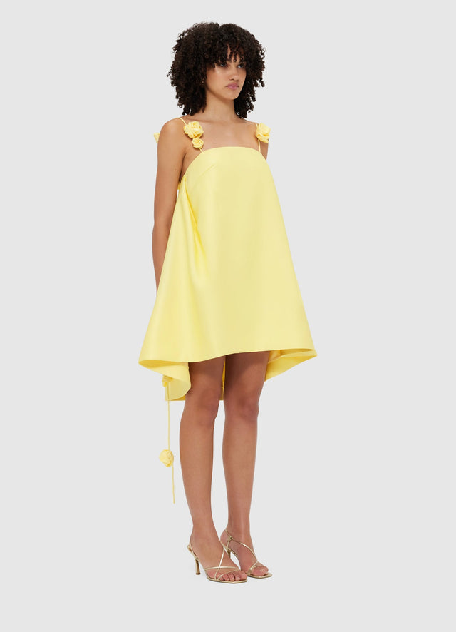 Fiona Rose Mini Dress
