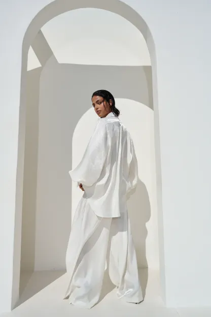 Deep V Neck Shirt Wide Leg Pants Set