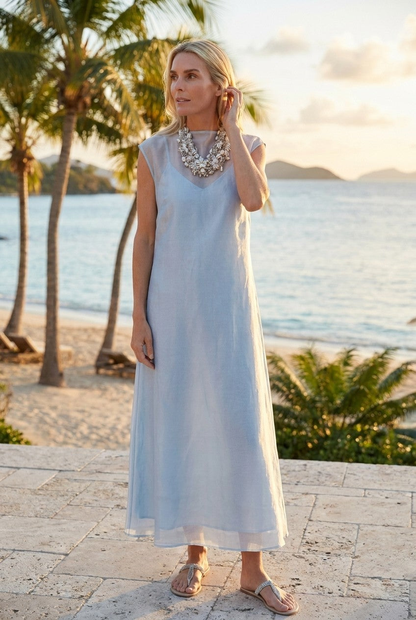 Shimmering Sheer Overlay Maxi Dress