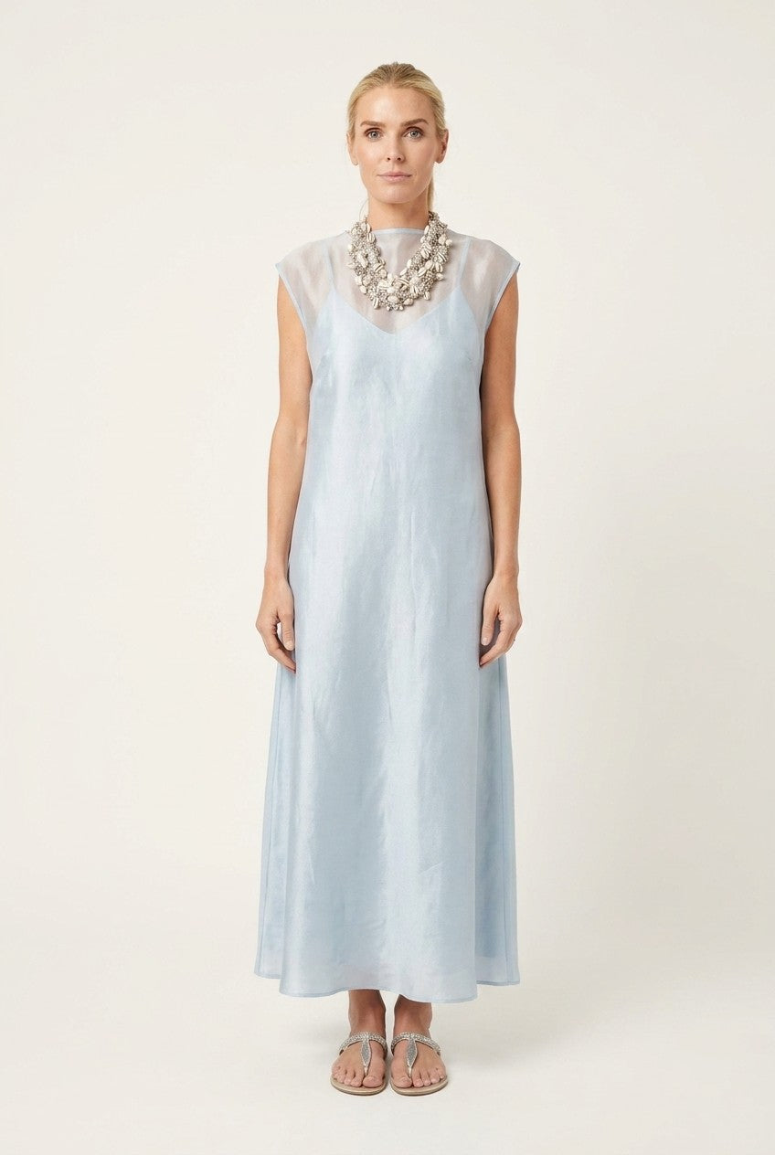 Shimmering Sheer Overlay Maxi Dress