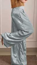 pant silver