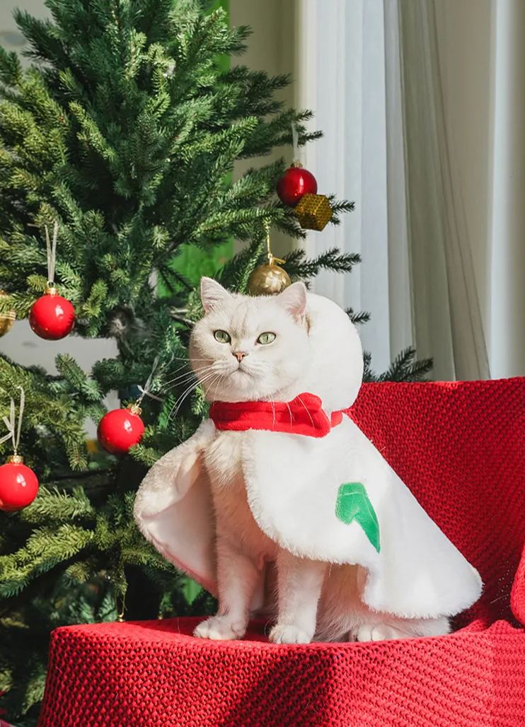 Christmas costume cat best sale