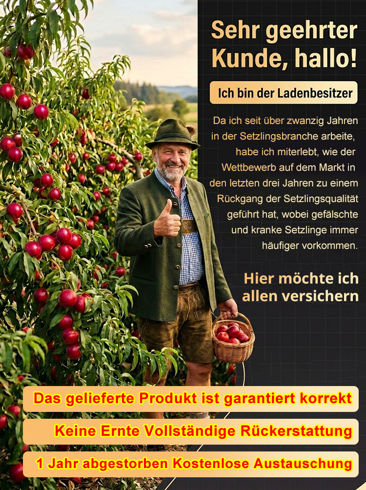 【Geisenheimer Elite-Züchtung】Riesen-Nektarinenbaum | Ernte noch in diesem Juli | Winterhart bis -35°C ✨Gratis Versand DE ✨