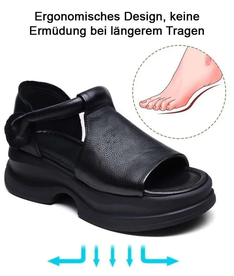 1_11.jpg