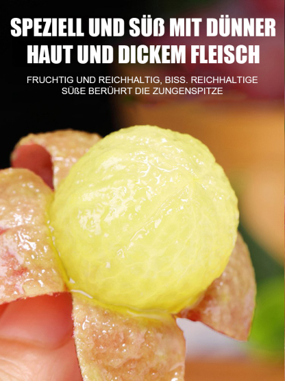 【Amerikanischer Importwein🍷】🍇Königin Nina Trauben🍇