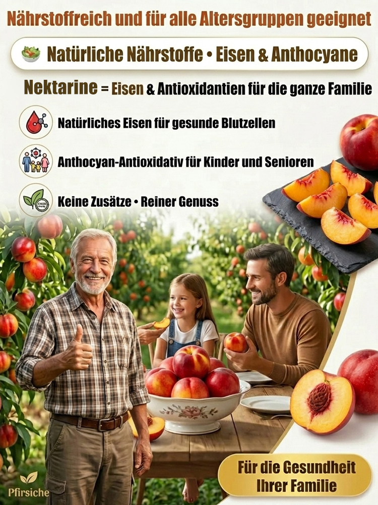 【Geisenheimer Elite-Züchtung】Riesen-Nektarinenbaum | Ernte noch in diesem Juli | Winterhart bis -35°C ✨Gratis Versand DE ✨