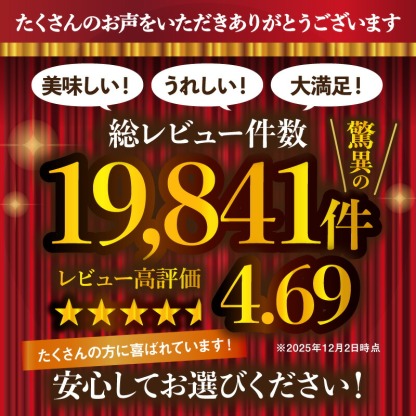 【ふるさと納税】★Wレビューキャンペーン実施中★【累計4000万個突破！】＼個数が選べる！／鉄板焼ハンバーグ デミソース 10個～20個 温めるだけ 福岡 飯塚 冷凍 小分け 大容量 ハンバーグ 肉 牛 簡単調理 特製 湯煎 人気 お試し 