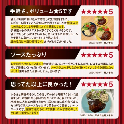 【ふるさと納税】★Wレビューキャンペーン実施中★【累計4000万個突破！】＼個数が選べる！／鉄板焼ハンバーグ デミソース 10個～20個 温めるだけ 福岡 飯塚 冷凍 小分け 大容量 ハンバーグ 肉 牛 簡単調理 特製 湯煎 人気 お試し 