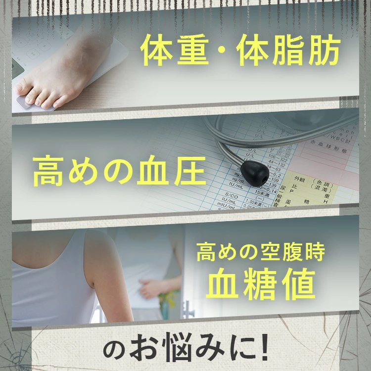 【公式】【3箱セット】青汁 乳酸菌 Wの健康青汁プラス / 新日本製薬 / 機能性表示食品 / 体重・ウエスト・高めのBMI値の改善 サポート / GABA エラグ酸 / 国産 粉末 / 1か月分 31包 / 抹茶風味 大麦若葉 ビフィズス菌 / 送料無料 セット割 _p20