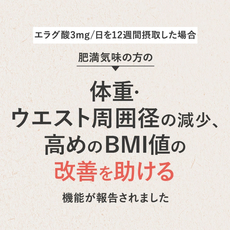 【公式】【3箱セット】青汁 乳酸菌 Wの健康青汁プラス / 新日本製薬 / 機能性表示食品 / 体重・ウエスト・高めのBMI値の改善 サポート / GABA エラグ酸 / 国産 粉末 / 1か月分 31包 / 抹茶風味 大麦若葉 ビフィズス菌 / 送料無料 セット割 _p20