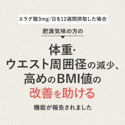 【公式】【3箱セット】青汁 乳酸菌 Wの健康青汁プラス / 新日本製薬 / 機能性表示食品 / 体重・ウエスト・高めのBMI値の改善 サポート / GABA エラグ酸 / 国産 粉末 / 1か月分 31包 / 抹茶風味 大麦若葉 ビフィズス菌 / 送料無料 セット割 _p20
