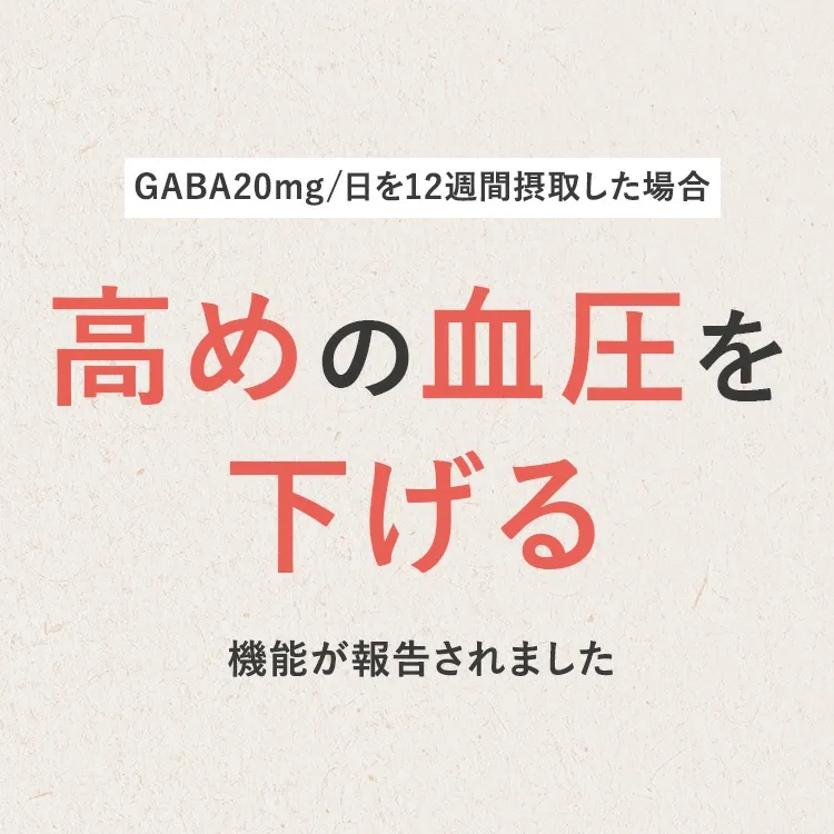 【公式】【3箱セット】青汁 乳酸菌 Wの健康青汁プラス / 新日本製薬 / 機能性表示食品 / 体重・ウエスト・高めのBMI値の改善 サポート / GABA エラグ酸 / 国産 粉末 / 1か月分 31包 / 抹茶風味 大麦若葉 ビフィズス菌 / 送料無料 セット割 _p20