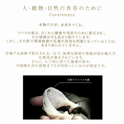 【BI-SU公式】天然 アナツバメの巣 エキスゼリースティック (30本入り) コラーゲン ビタミンC ヒアルロン酸 コラーゲンペプチド ツバメの巣 燕の巣 美巣 アナツバメ エイジングケア 健康食品 ゼリースティック 食べる美容 美容ゼリー インナーケア スティックゼリー