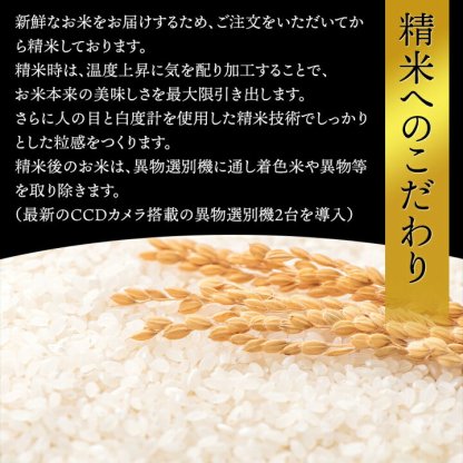 ＜在庫あり＞令和5年産 山形県産 米 コシヒカリ こしひかり 10kg (5kg×3袋) 高評価 新米 お米 コメ 精米 お米 白米 ご飯 新米 単一原料米 令和四年産 15kg コメ 仕送り ギフト プレゼント 精米したて 送料無料 米 10kg